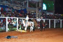 FESTA DO FEIJÃO II