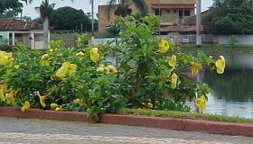 Lagoa