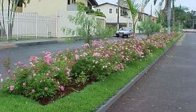 Av. JK