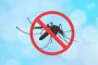 Como prevenir a dengue? Veja os principais cuidados