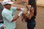 Campanha de vacinação contra raiva em cães e gatos acontece até o dia 13 de agosto em Lagoa Formosa